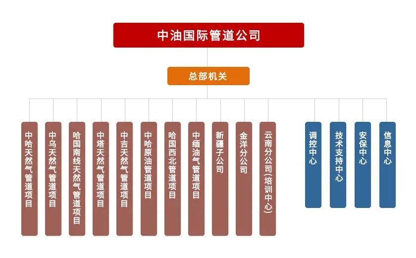 保安公司组织机构设置(图1)